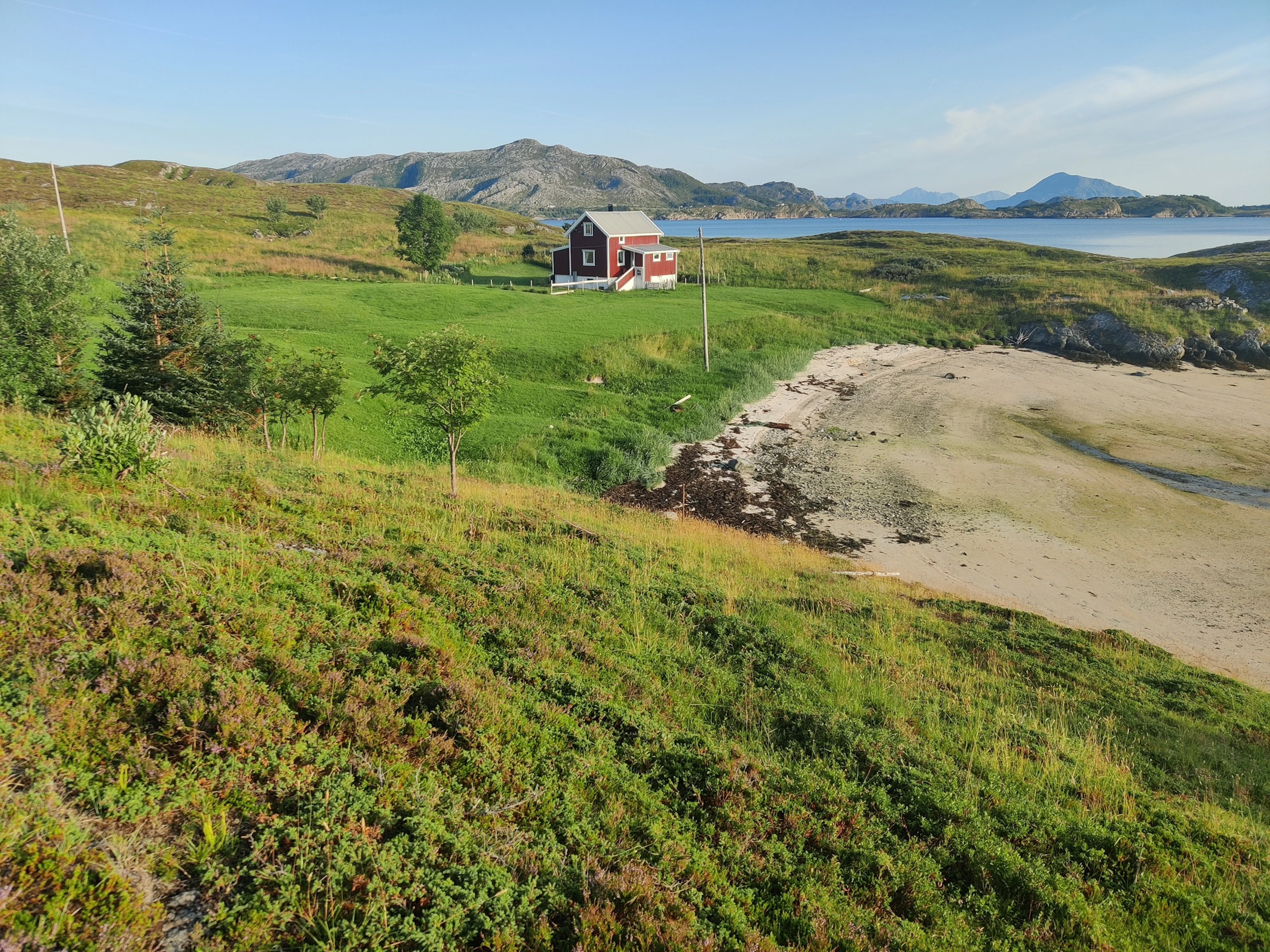 Hansinestua