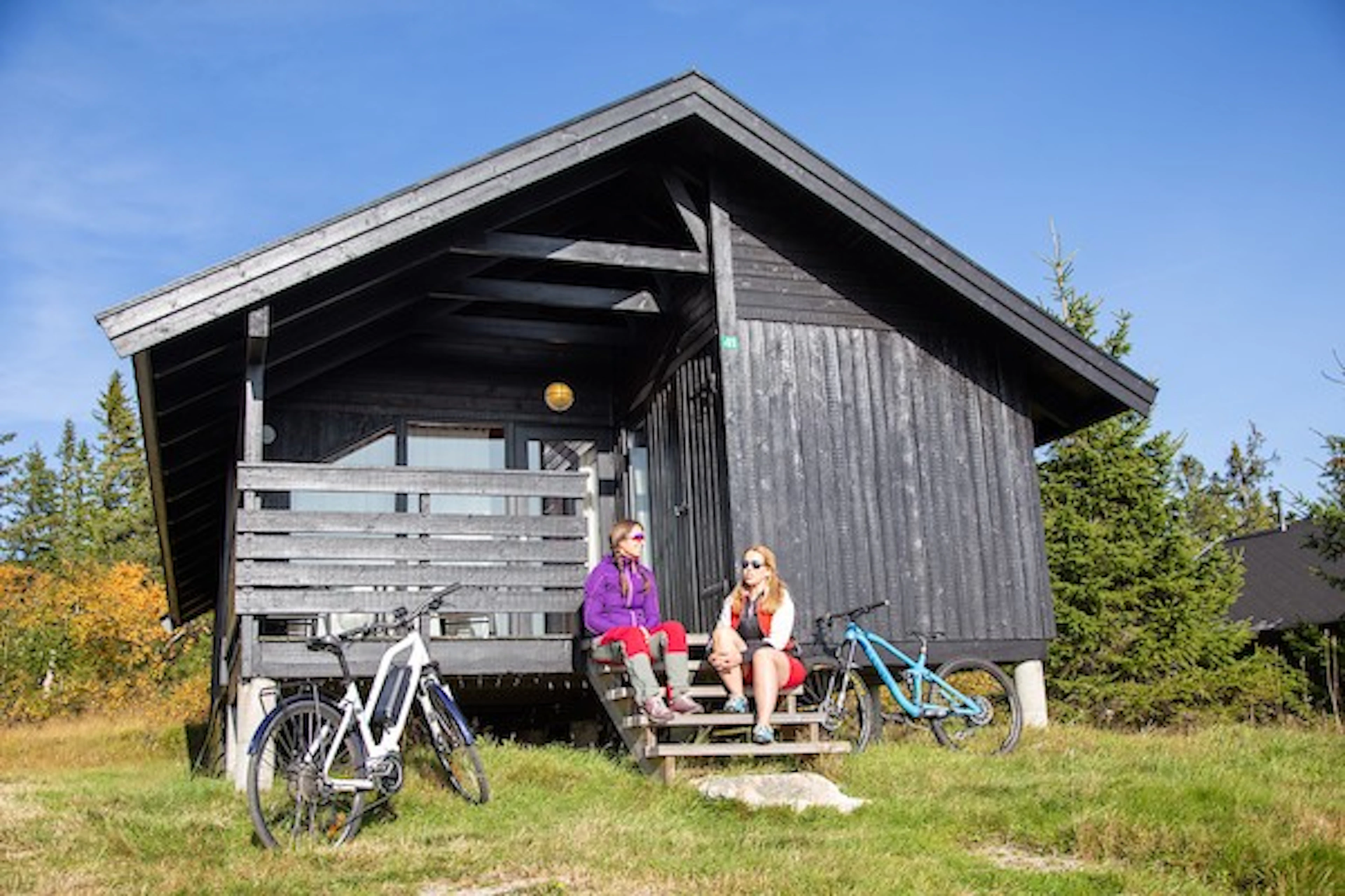 Lifjelltunet