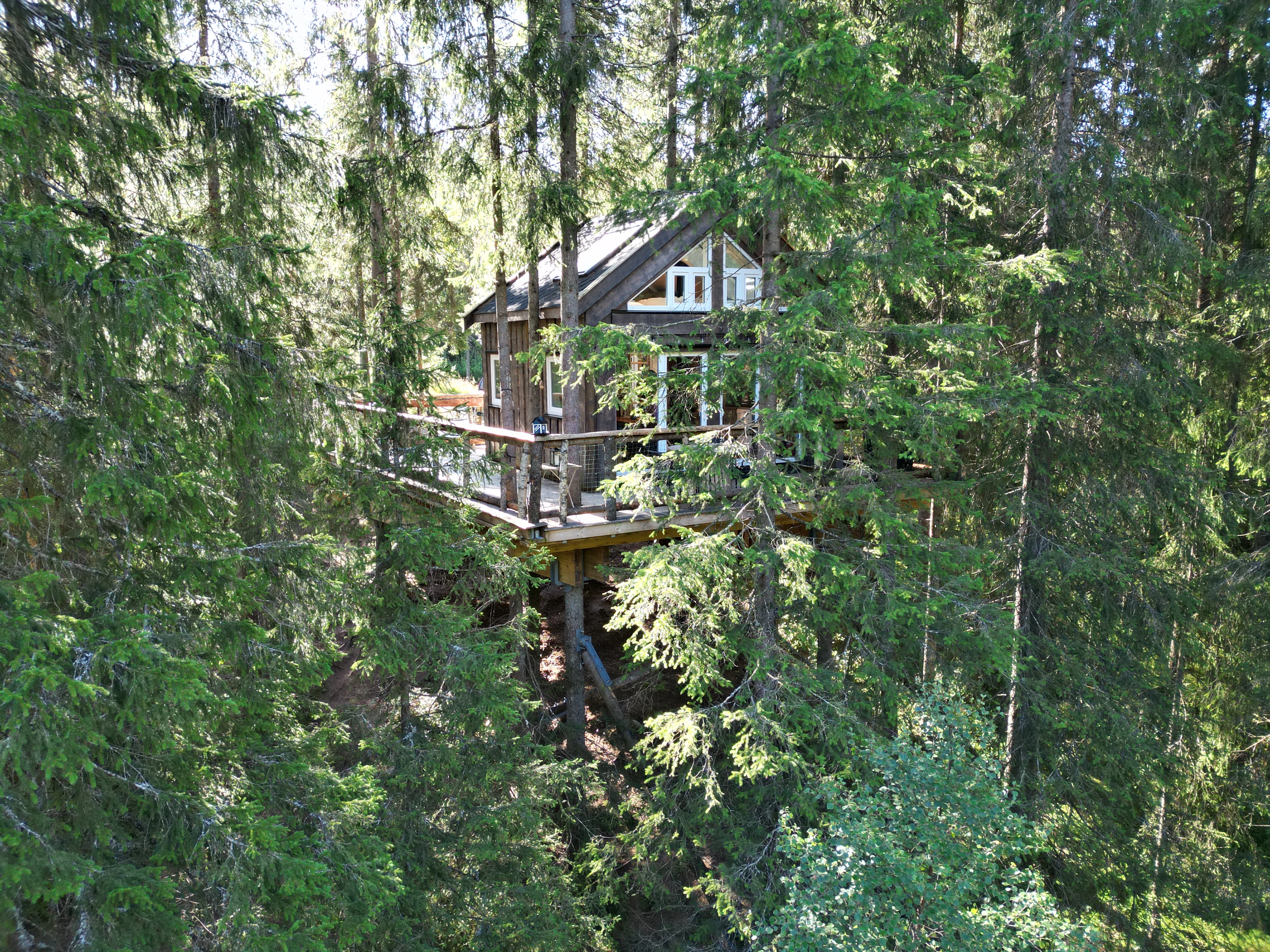 Lårdal Tretopphytter