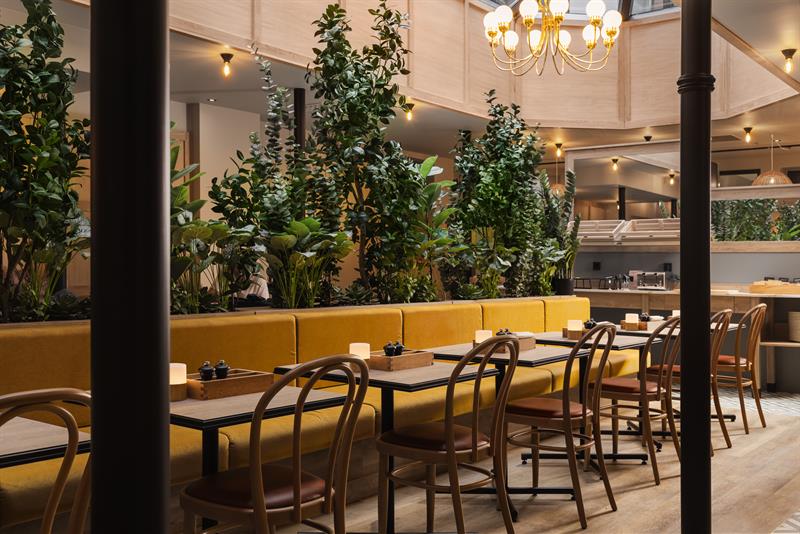 En hotellrestaurant med en gul sittegruppe langs store grønne planter, små firkantede trebord og trestoler, og en gullfarget lysekrone