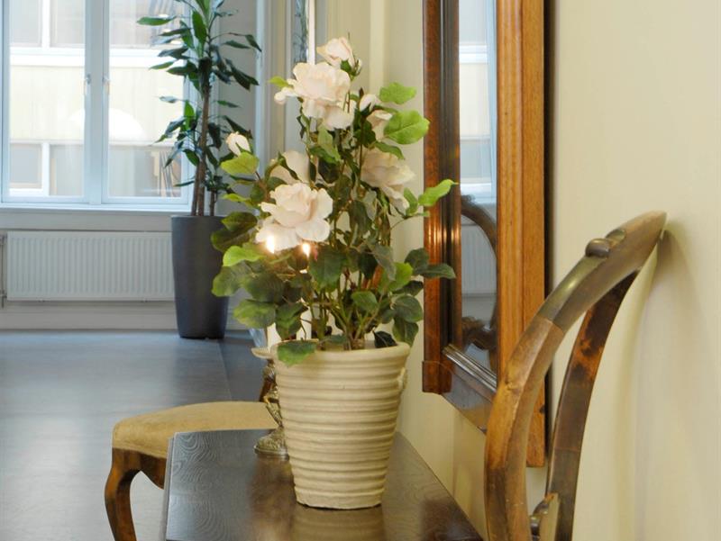 Nærbilde av en potteplante på et bord mellom to stoler.