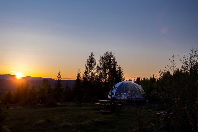 Et iglo omgitt av skog ved solnedgang