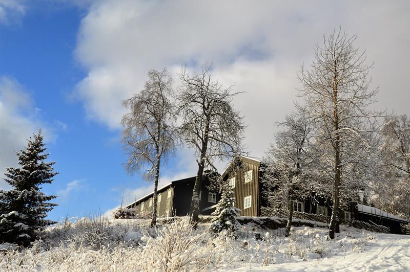 Kikutstua and the Surrounding Area in Winter