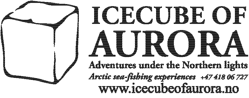 Icecube Of Aurora  header logo