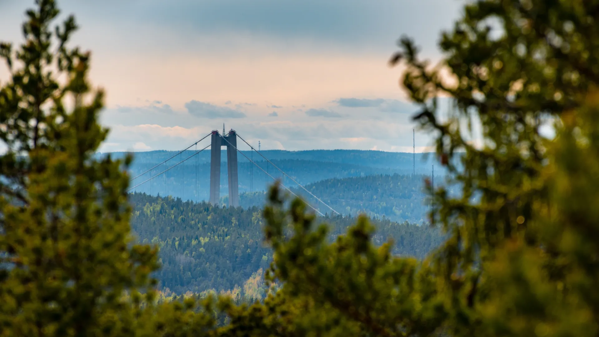 Hero-banner-background