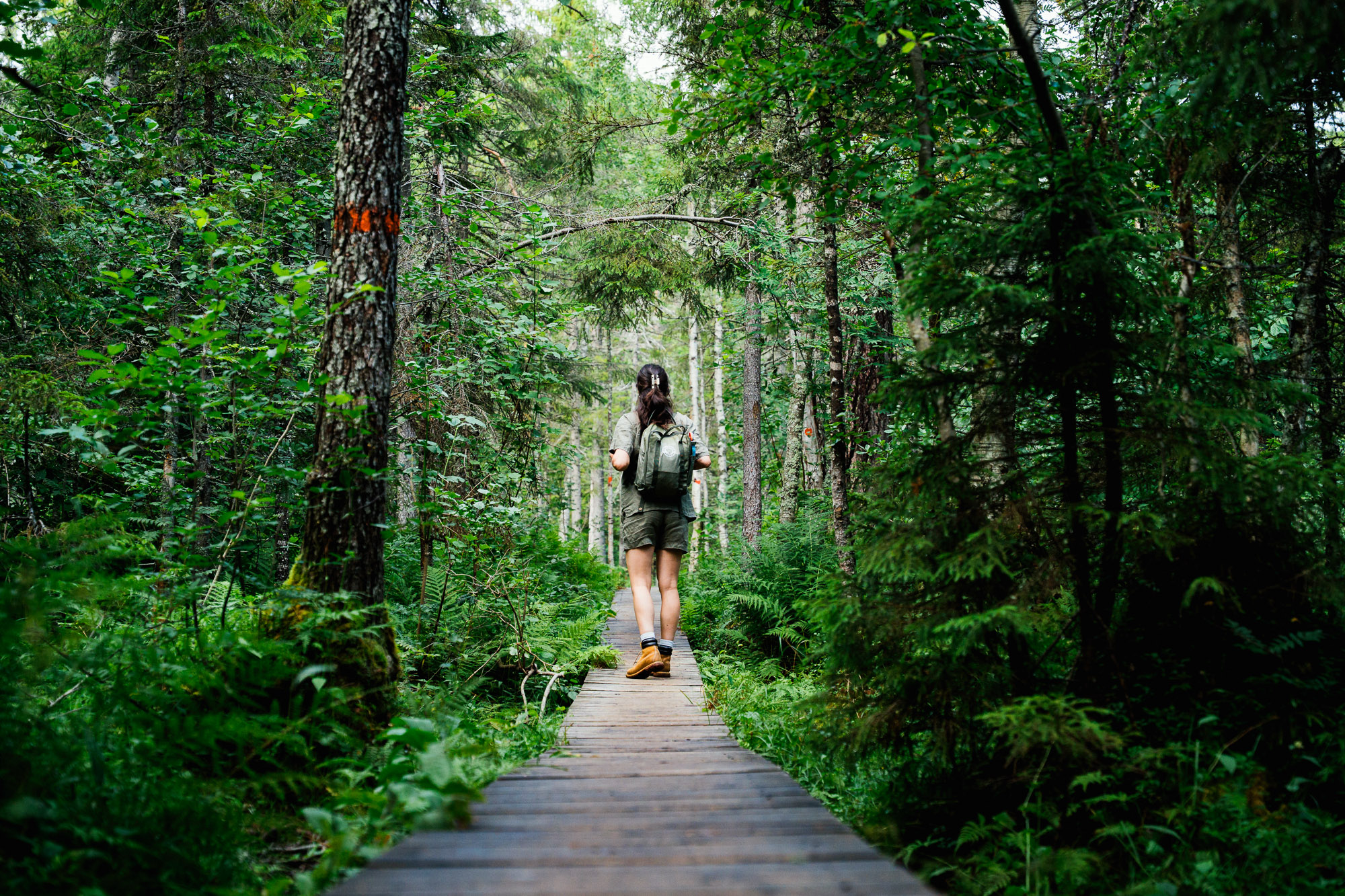 full-width-background-image