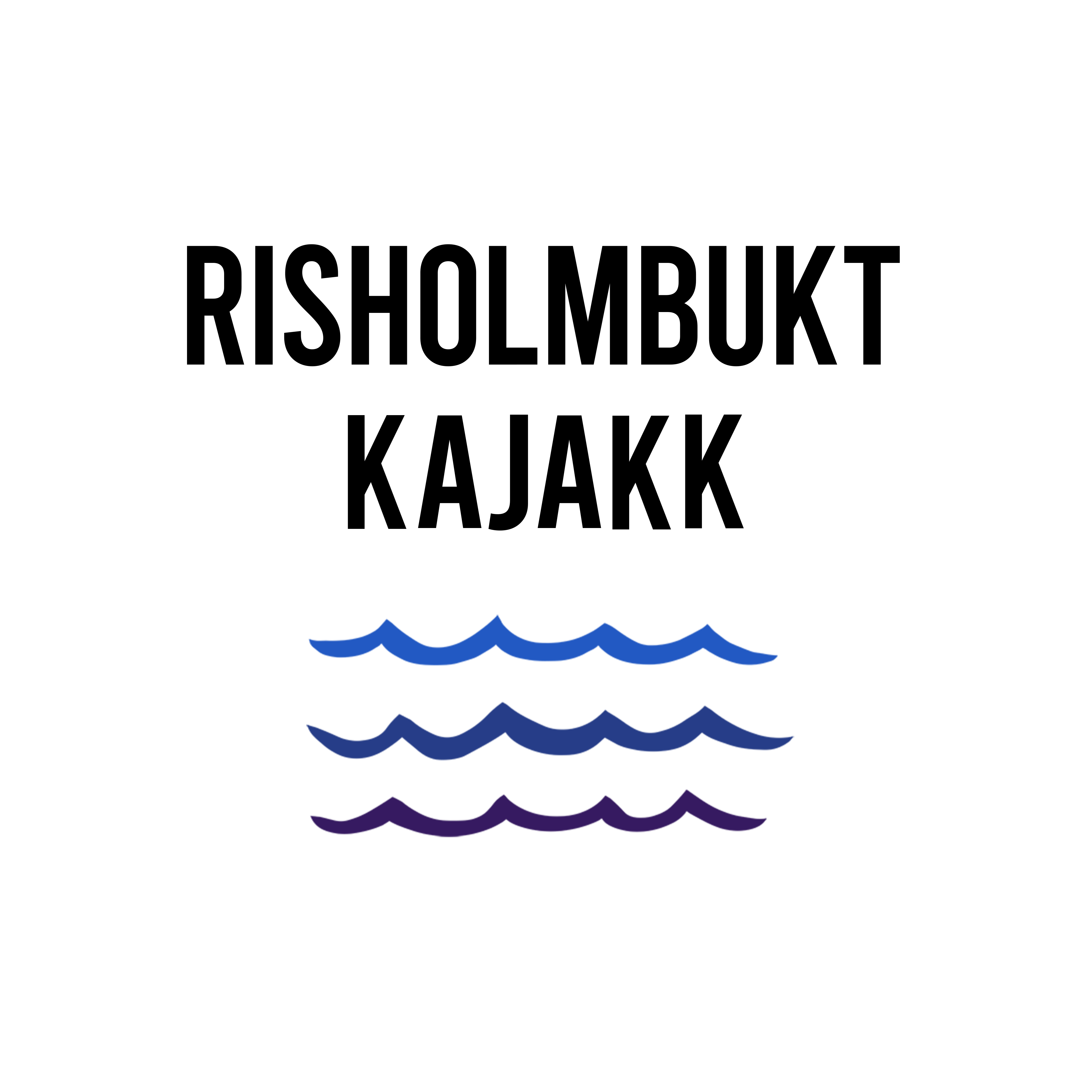 Risholmbukt header logo