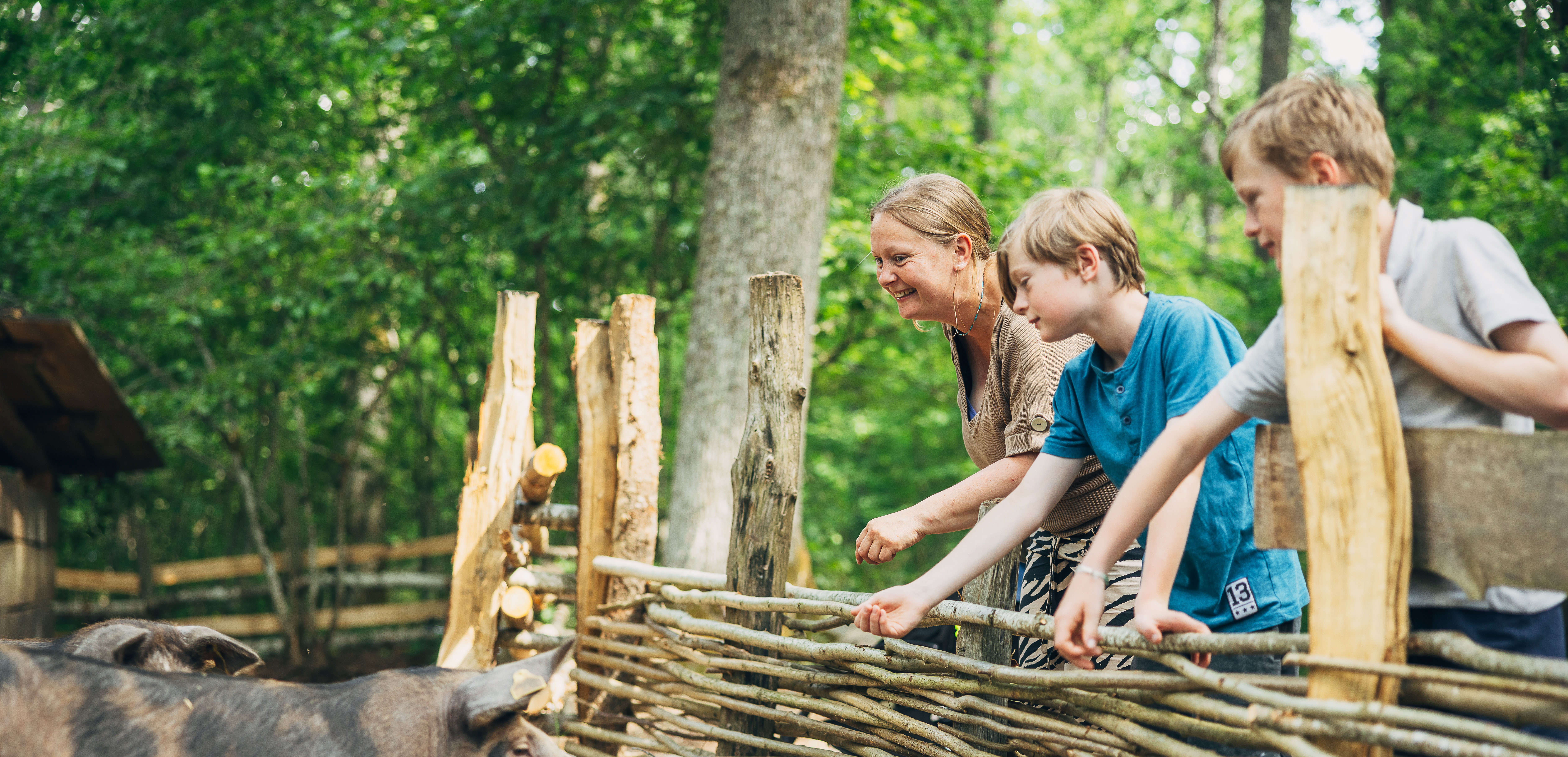 Hero-banner-background