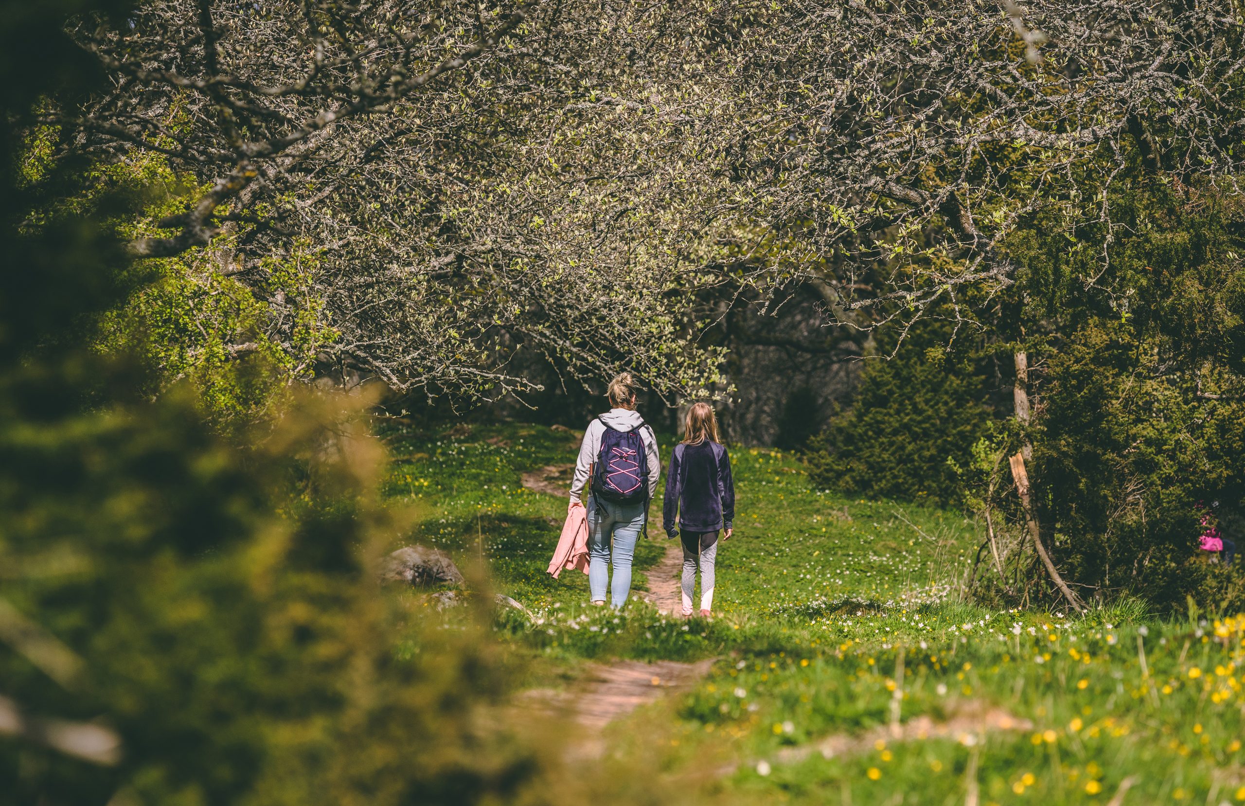 Hero-banner-background