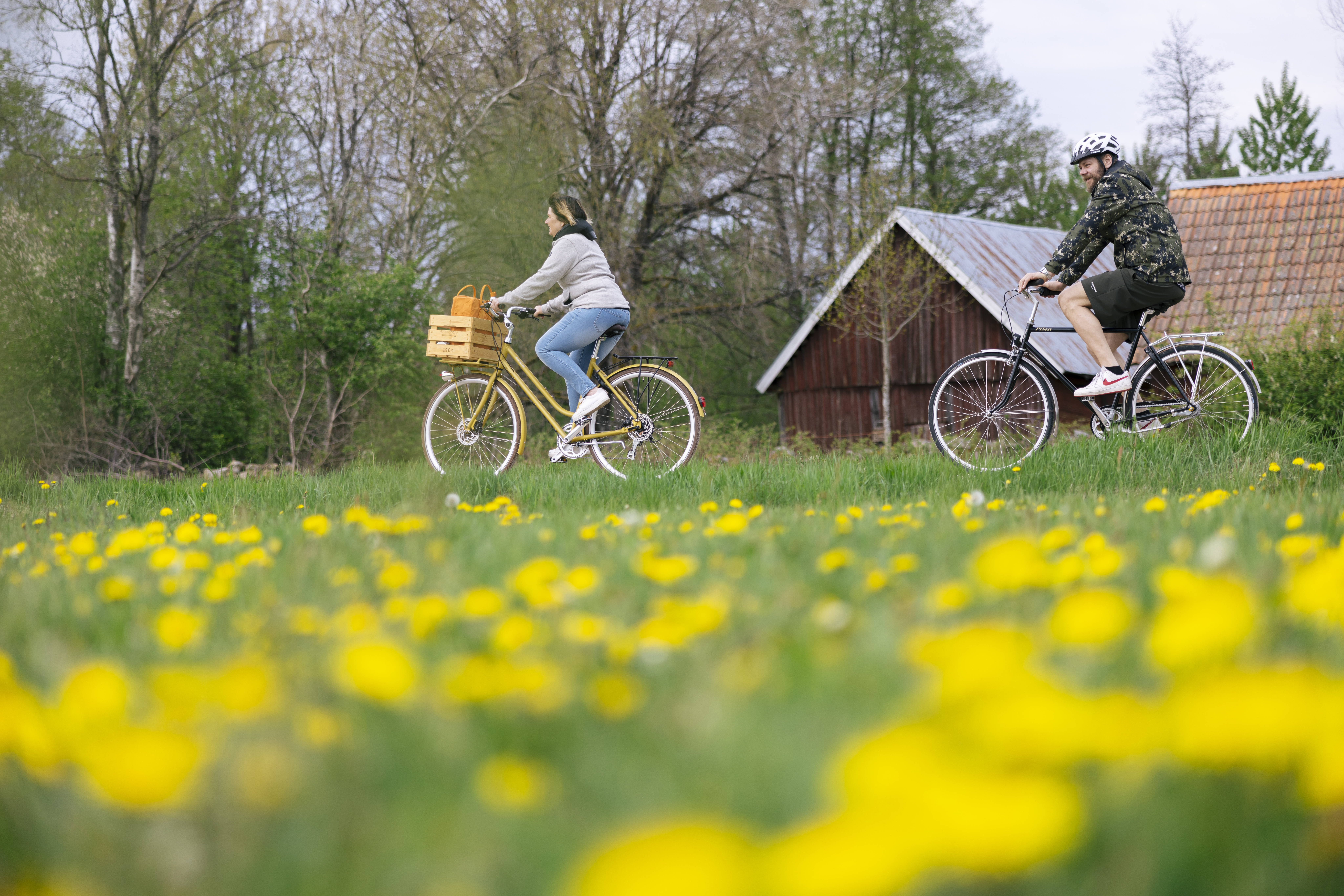 full-width-background-image