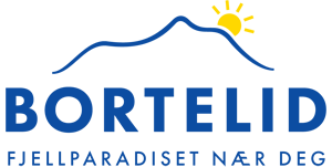 E-bike Rental in Bortelid