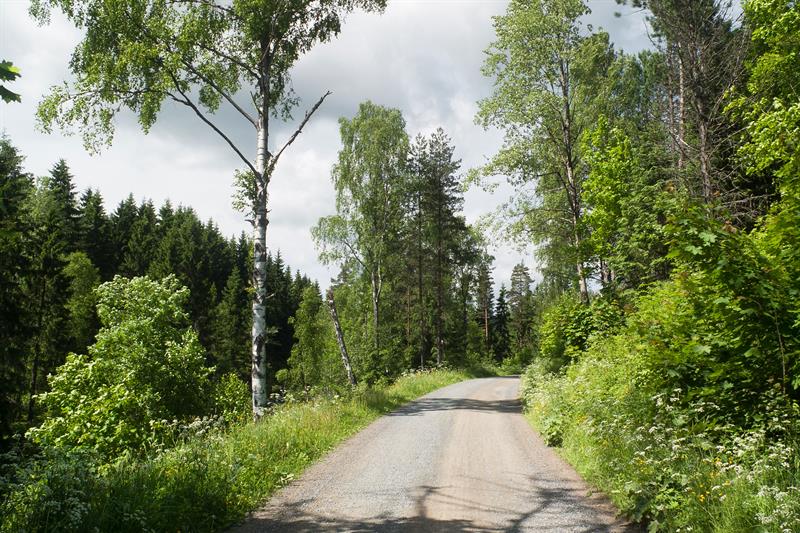 sykkelvei i naturen