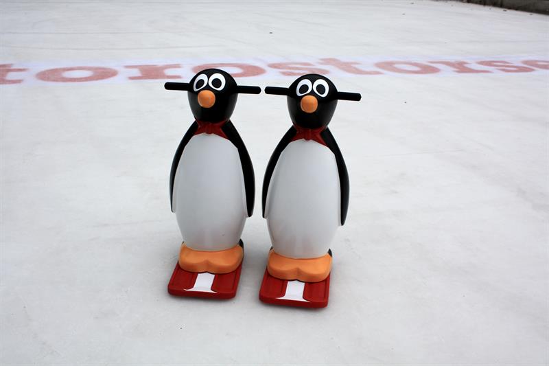 Storo ice skating rink (temporarily closed)