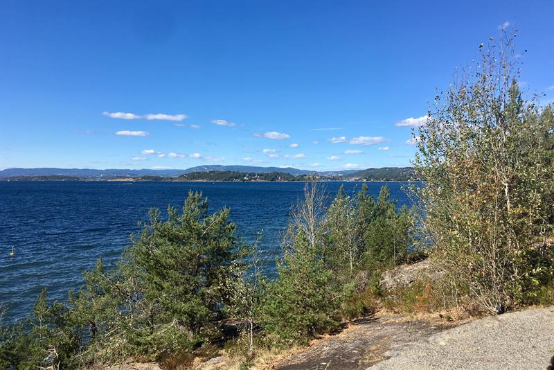 Utsikt over fjorden.