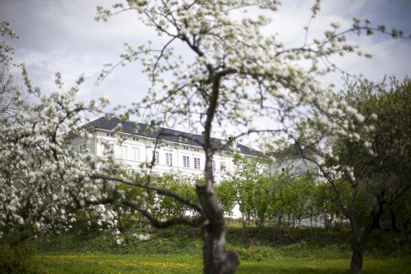 Et gammelt, hvitt trehus omgitt av trær.