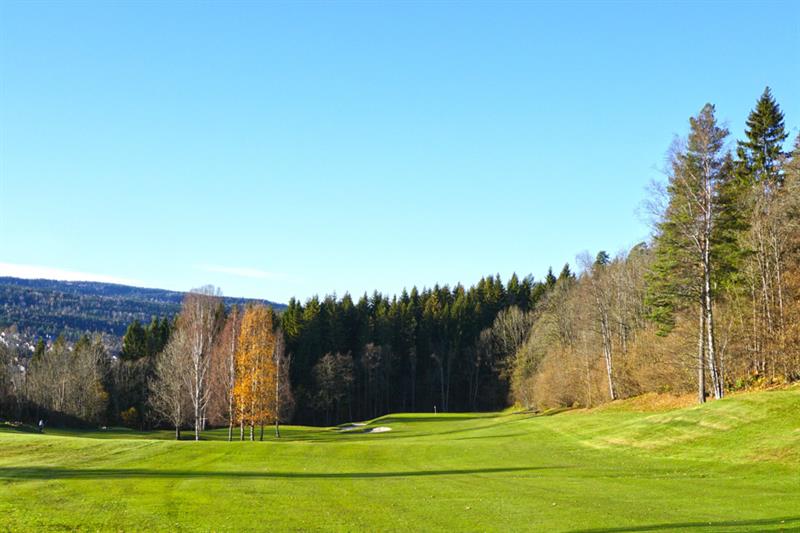 En golfbane med trær i bakgrunnen.