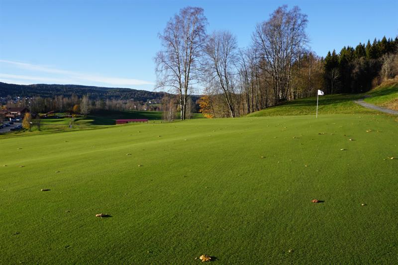 En golfbane med trær i bakgrunnen.
