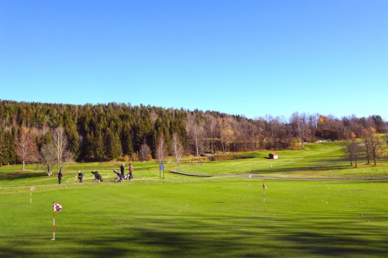En golfbane med folk som spiller golf.