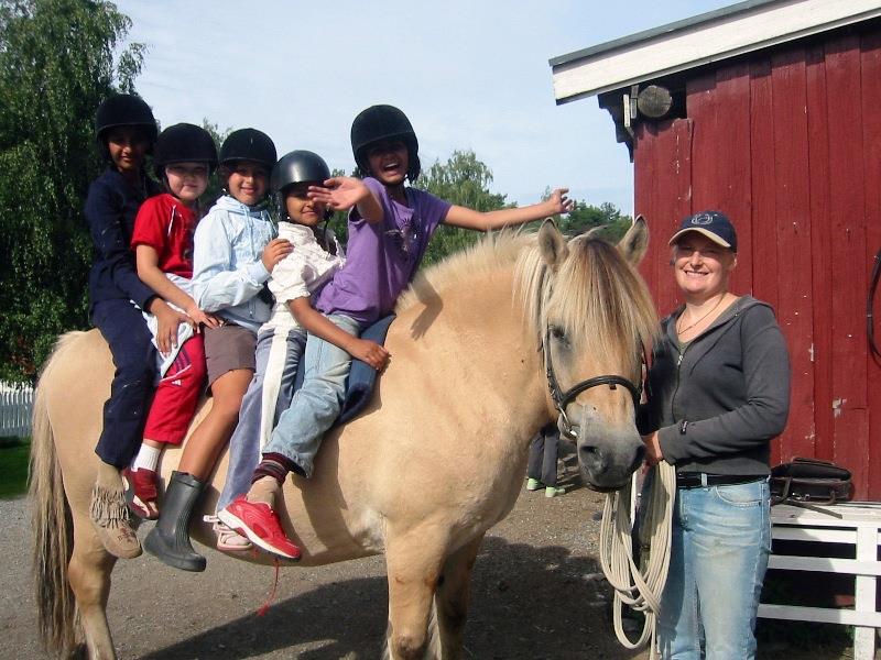barn til hest
