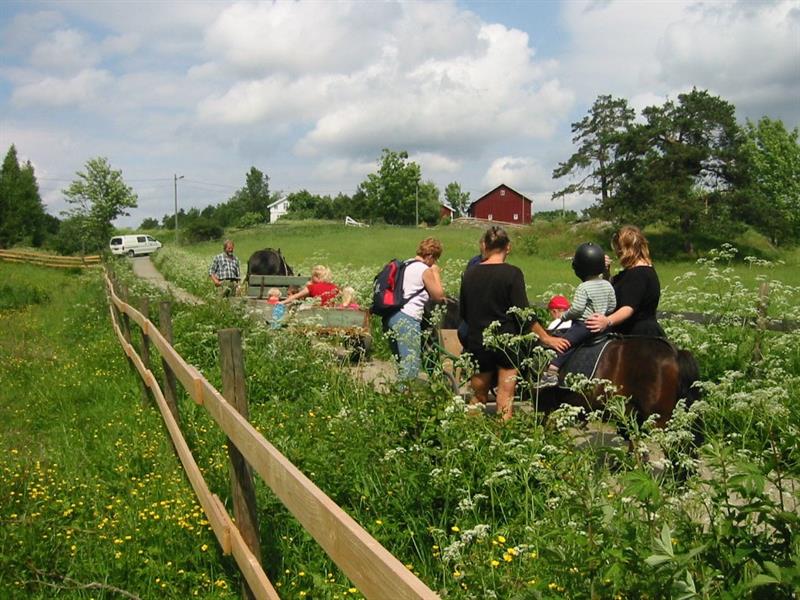 familier på ponniridning
