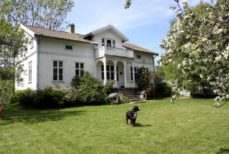 hund foran hovedhuset