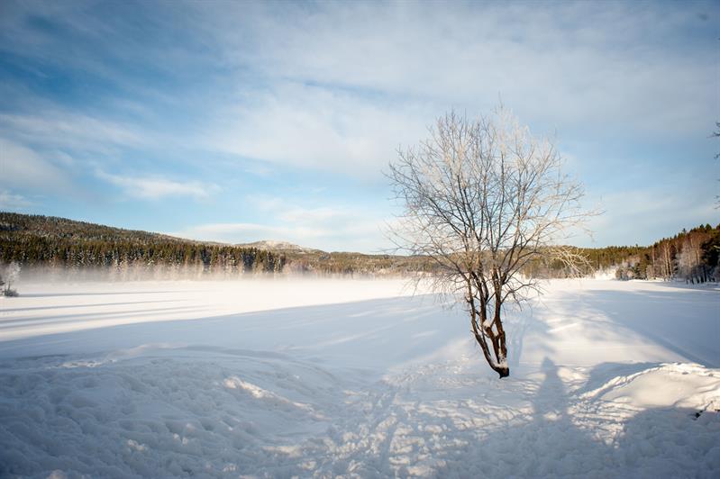 Snødekt innsjø.