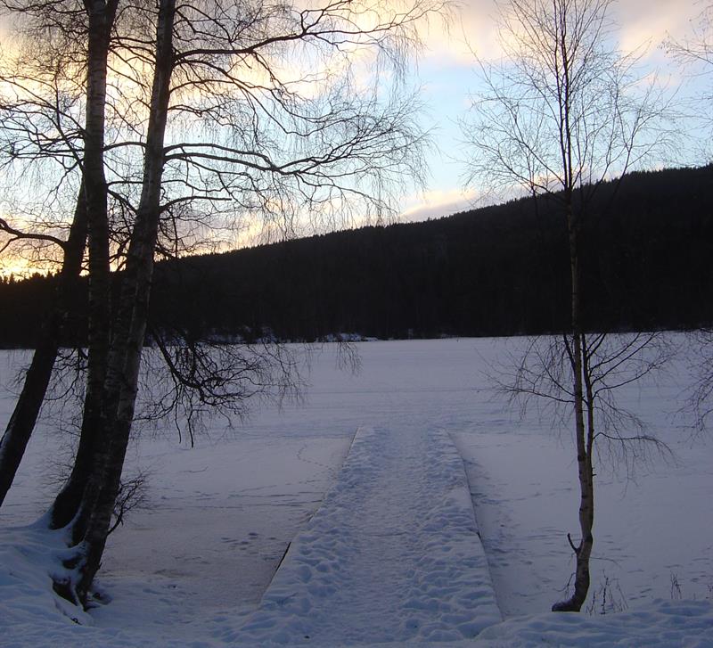 Sognsvann lake during winter