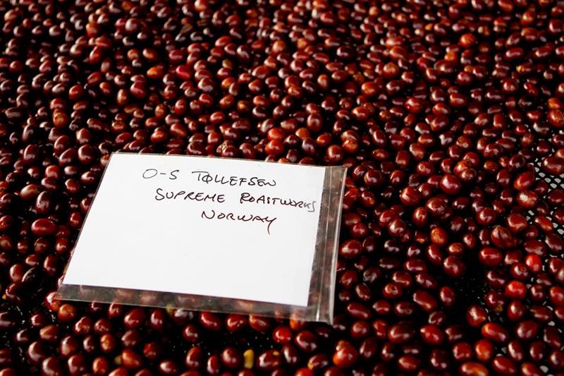 uristede kaffebønner