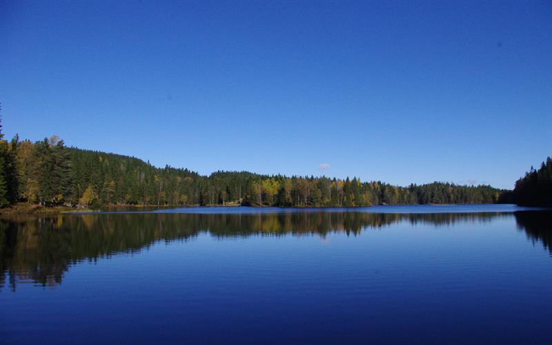 Lillomarka wilderness area
