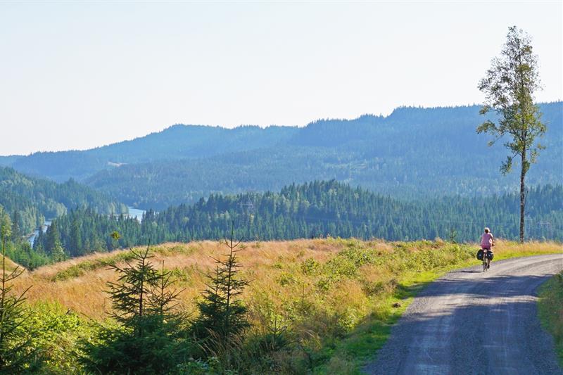 A person cycling along a road, with forest and mountains in the background.