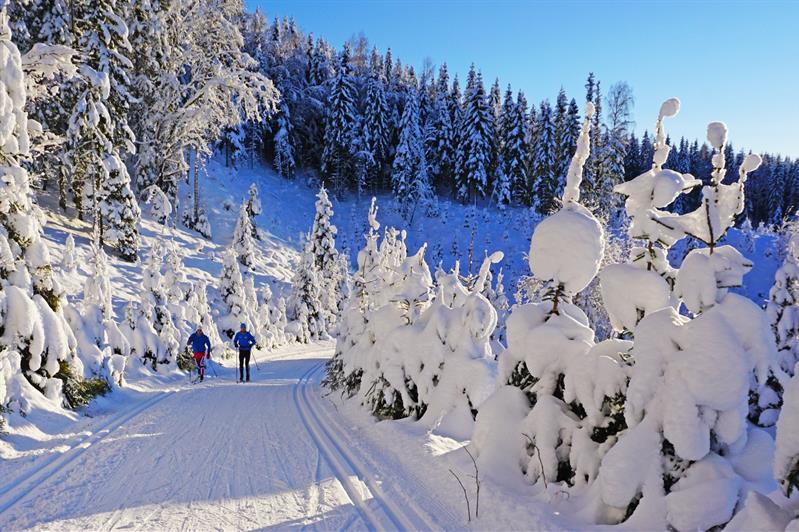 Good skiing conditions.