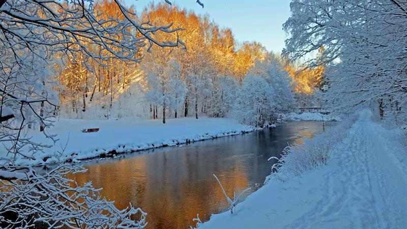 Winter photo of the river with trees covered in snow.