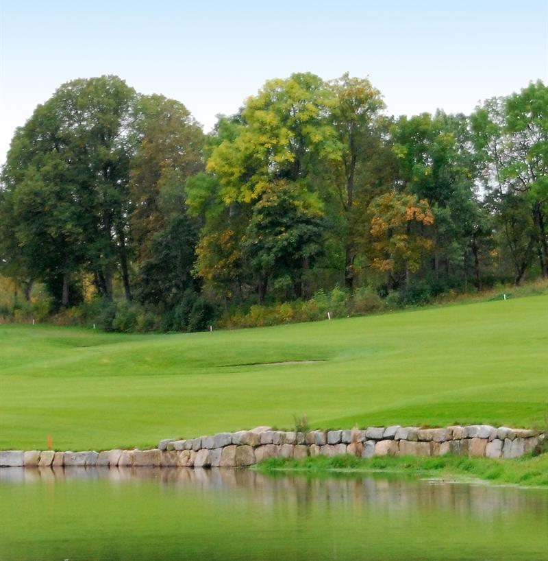 A golf course with a pond, grass, and trees.