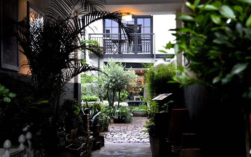 Bakgård med forskjellige planter.