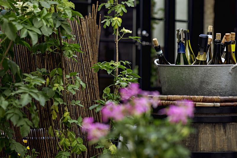 Detalj av planter og en bøtte fylt med vinflasker