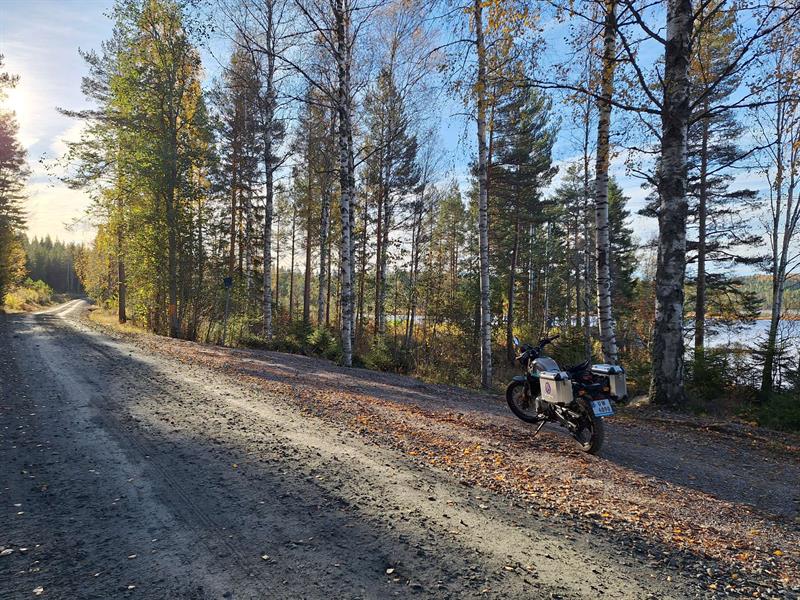 Gamle Haukelifjell veitrau