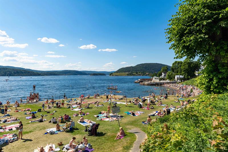 En strand med folk som soler seg.