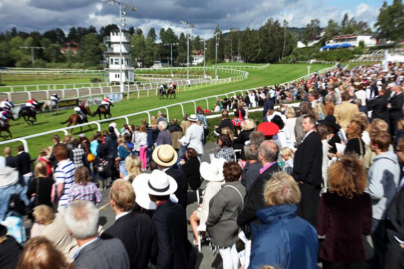tilskuere under et hesteveddeløp
