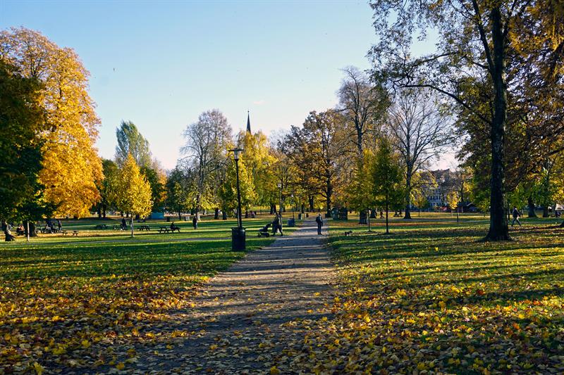 Sofienbergparken om høsten