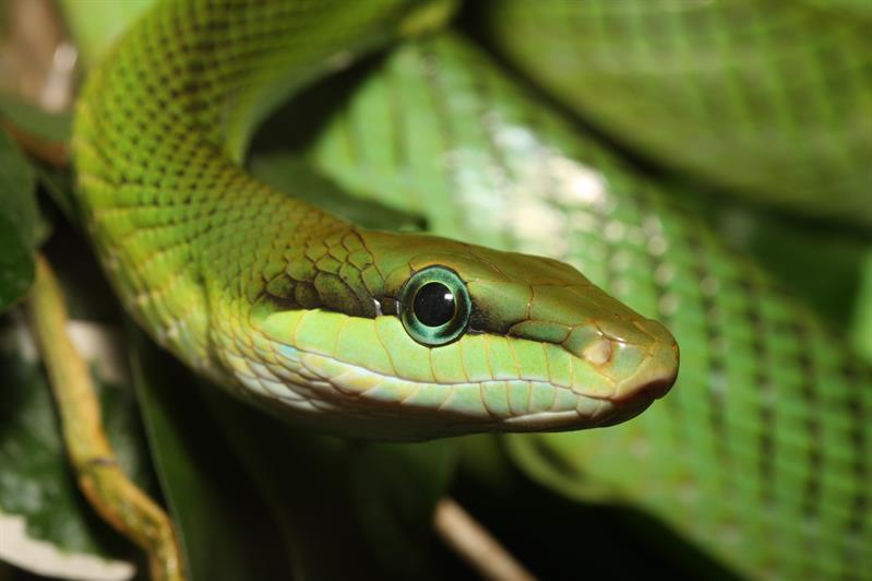 Oslo Reptile Park