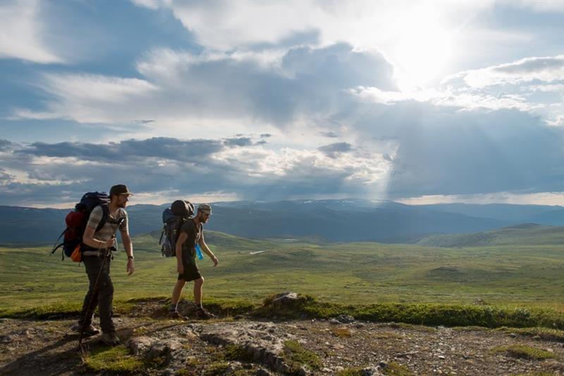 Pilegrimsvandring over Dovrefjell