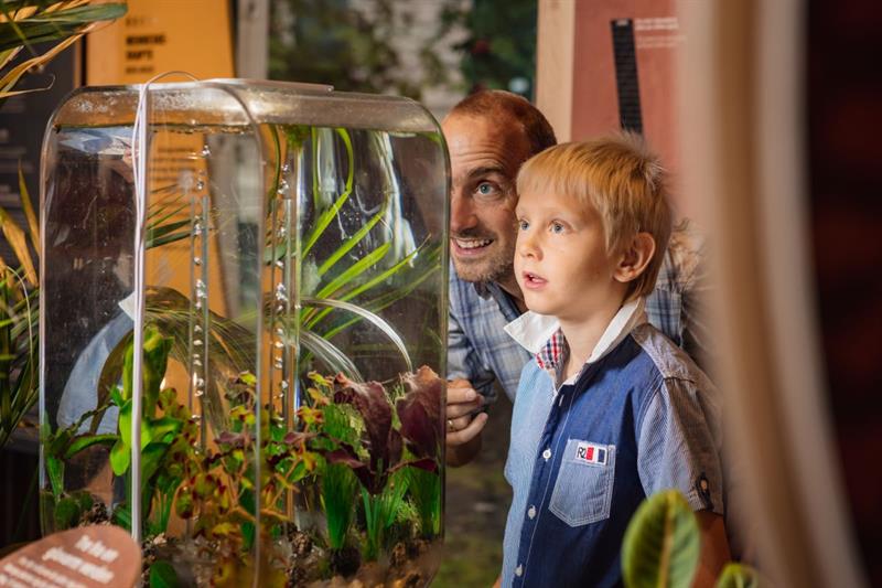 En far og en sønn ser inn i et akvarium.