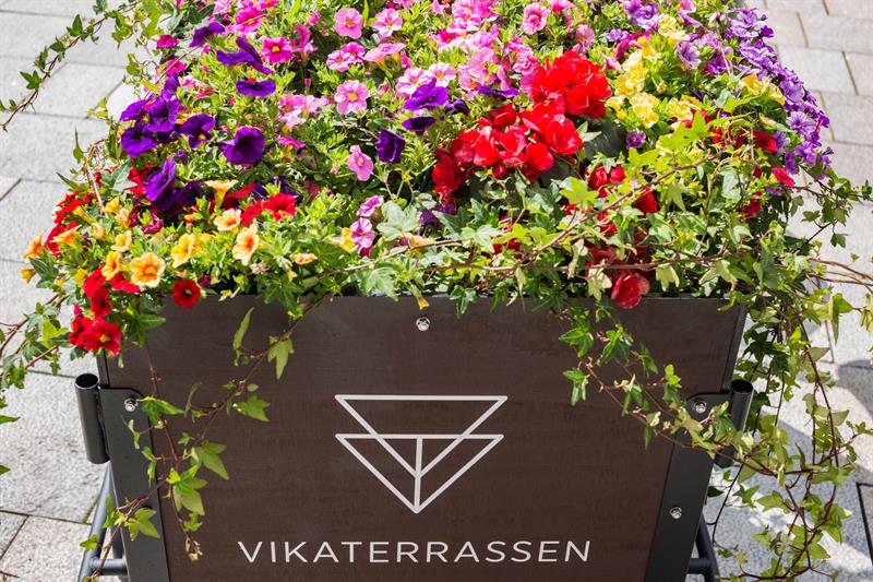 blomster
