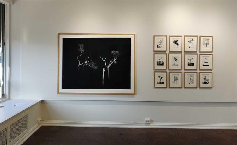 Galleriinteriør med bilder hengende på en hvit vegg