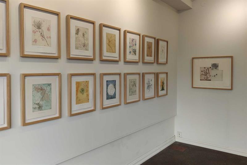 Galleriinteriør med bilder hengende på en hvit vegg