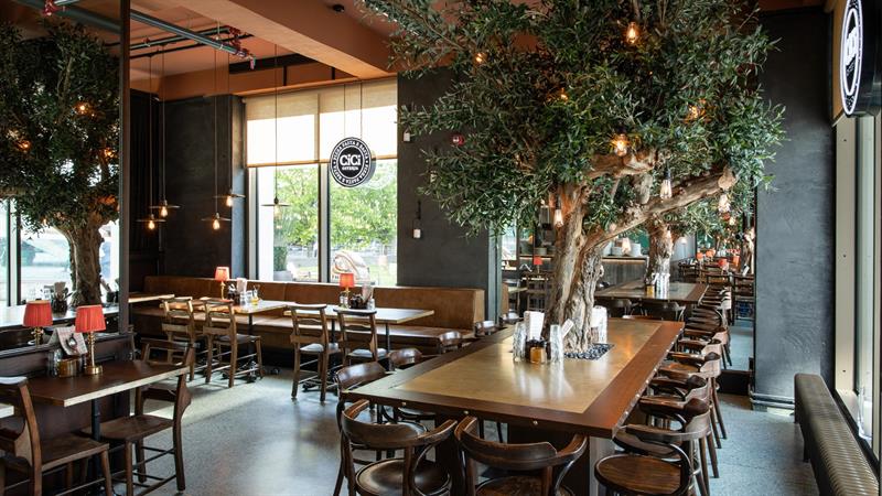 Et romslig restaurantområde med flere oliventrær, trestoler, bordlamper og store vinduer som slipper inn naturlig lys