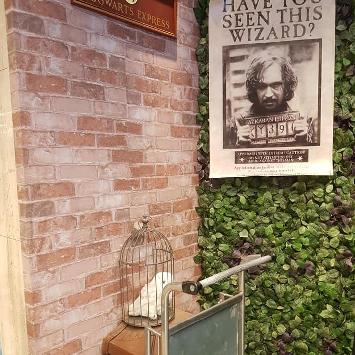vegg med harry potter-tema