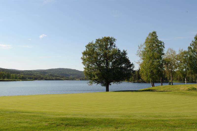 utsikt over golfbanen med fjorden i bakgrunnen