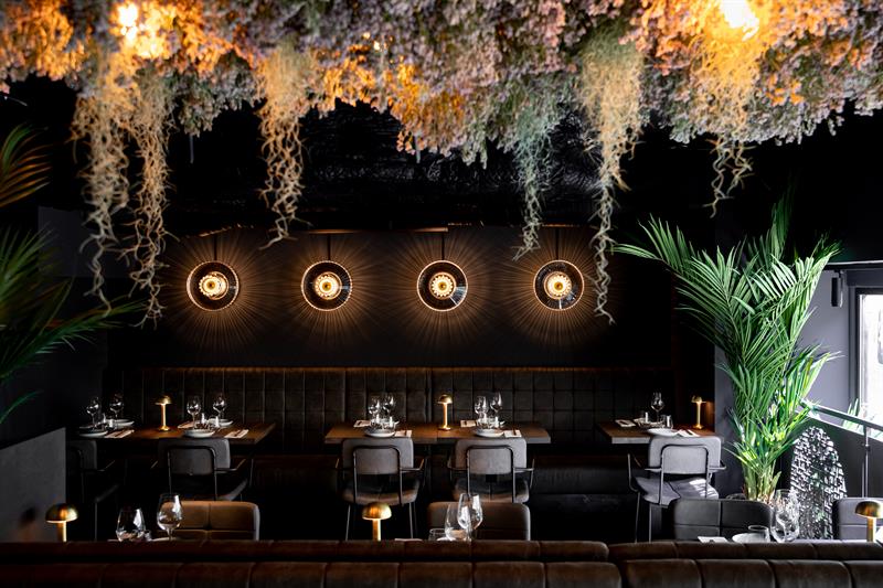 Restaurantinteriør med vegetasjon hengende fra taket og svarte vegger