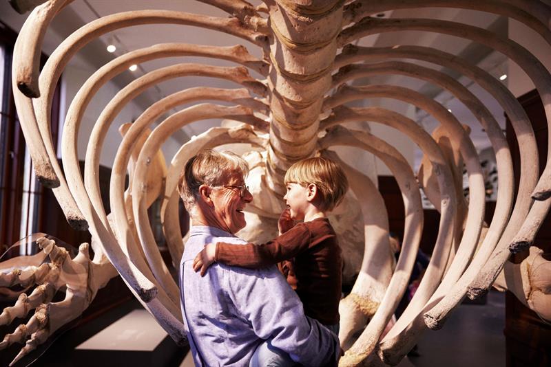 Naturhistorisches Museum